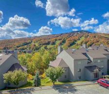 United States Vermont Dover vacation rental compare prices direct by owner 10518897