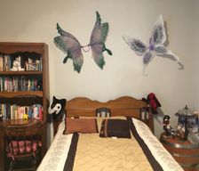 United States California Vallejo vacation rental compare prices direct by owner 1746067