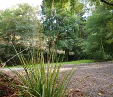 Germany Rheinland-Pfalz Waxweiler vacation rental compare prices direct by owner 4363000