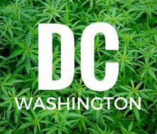 United States District of Columbia Washington vacation rental compare prices direct by owner 2097793