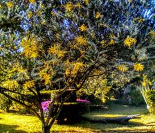 Zimbabwe Manicaland Province Mutare vacation rental compare prices direct by owner 13863730
