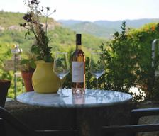 France Provence-Alpes-Côte d'Azur Saint-Martin-de-Castillon vacation rental compare prices direct by owner 5364903