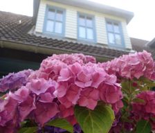 Germany Schleswig-Holstein Sankt Peter-Ording vacation rental compare prices direct by owner 4771710
