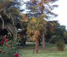 Argentina Córdoba Los Hornillos vacation rental compare prices direct by owner 3251212