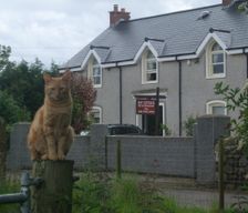 United Kingdom  Crumlin vacation rental compare prices direct by owner 6165970