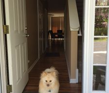 United States Illinois Gurnee vacation rental compare prices direct by owner 1441676