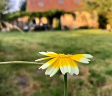 France Normandie La Chapelle-Montligeon vacation rental compare prices direct by owner 4572752