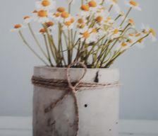 Hungary Vas Bük vacation rental compare prices direct by owner 4286203