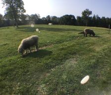 United States New Hampshire Wolfeboro vacation rental compare prices direct by owner 1099466