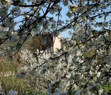 Italy Veneto Marcellise vacation rental compare prices direct by owner 6281355