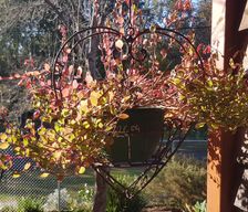 Australia Western Australia Dwellingup vacation rental compare prices direct by owner 6323795