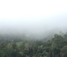 Malaysia Pahang Fraser's Hill vacation rental compare prices direct by owner 9412625