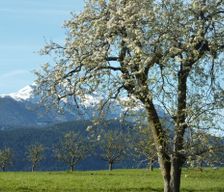 Italy Trentino-Alto Adige Fondo vacation rental compare prices direct by owner 8364002