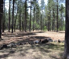 United States Arizona Pinetop-Lakeside vacation rental compare prices direct by owner 673494