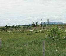 Iceland Grimsnes og Grafningshreppur Grímsnes- og Grafningshreppur vacation rental compare prices direct by owner 4155337