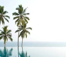 India Kerala Thiruvananthapuram vacation rental compare prices direct by owner 6006975