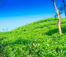 Sri Lanka Uva Province Ella vacation rental compare prices direct by owner 10823628