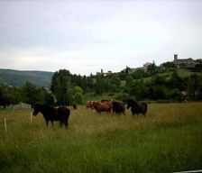 France Provence-Alpes-Côte d'Azur Revest-des-Brousses vacation rental compare prices direct by owner 4242649