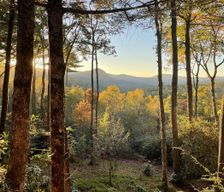 United States North Carolina Sapphire vacation rental compare prices direct by owner 10176447