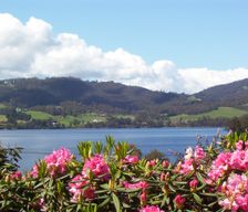 Australia Tasmania Castle Forbes Bay vacation rental compare prices direct by owner 8779625