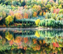 Canada Quebec Shawinigan vacation rental compare prices direct by owner 1197601