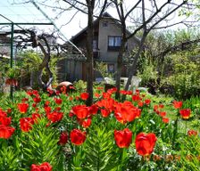 Georgia Kakheti Telavi vacation rental compare prices direct by owner 7389210
