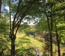 United States Virginia Williamsburg vacation rental compare prices direct by owner 213376