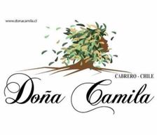 Chile Región del Bío Bío Cabrero vacation rental compare prices direct by owner 3267334