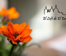 Spain Comunidad de Madrid San Lorenzo de El Escorial vacation rental compare prices direct by owner 5390151