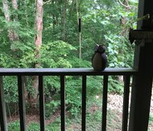 United States Indiana Bloomington vacation rental compare prices direct by owner 1276502