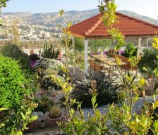 Jordan Ma'an Governate Wadi Musa vacation rental compare prices direct by owner 14774135