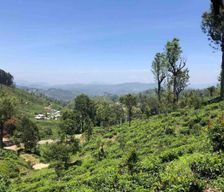 Sri Lanka Uva Province Haputale vacation rental compare prices direct by owner 5240937