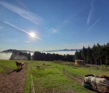 Austria Niederösterreich Gemeinde Waidhofen an der Ybbs vacation rental compare prices direct by owner 5118339