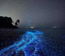 Maldives Raa Atoll Alifushi vacation rental compare prices direct by owner 25319350