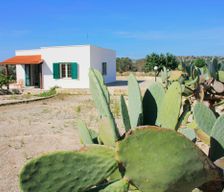 Italy Castrignano del Capo Castrignano del Capo vacation rental compare prices direct by owner 6505309