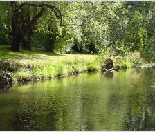 Australia Victoria Bright vacation rental compare prices direct by owner 6330670