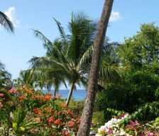 Guadeloupe Basse-Terre Pointe-Noire vacation rental compare prices direct by owner 3014246