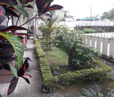 Ecuador Los Ríos Quevedo vacation rental compare prices direct by owner 8186940