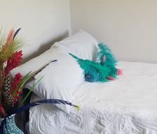 Trinidad and Tobago San Juan-Laventille Regional Corporation La Pastora vacation rental compare prices direct by owner 3698641