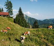 Austria Oberösterreich Kirchdorf an der Krems vacation rental compare prices direct by owner 24886537