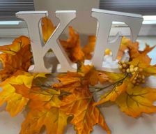United States Kansas Topeka vacation rental compare prices direct by owner 15551860