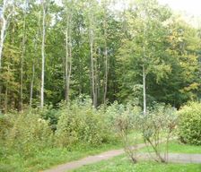 Germany Thuringia Weimar vacation rental compare prices direct by owner 6618363