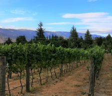 New Zealand Otago Cromwell vacation rental compare prices direct by owner 16201351