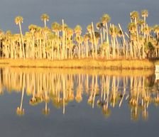 United States Florida Weeki Wachee vacation rental compare prices direct by owner 11588382