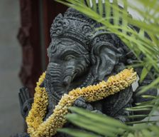 Indonesia Bali Kecamatan Ubud vacation rental compare prices direct by owner 6369406