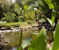 Kenya Laikipia County Naro Moru vacation rental compare prices direct by owner 25952950