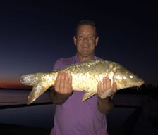 South Africa Gauteng Vaal Marina vacation rental compare prices direct by owner 4106442