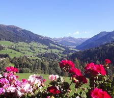 Austria Tirol Alpbach vacation rental compare prices direct by owner 5380183