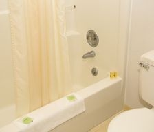 United States Wyoming Buffalo vacation rental compare prices direct by owner 462547