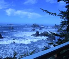 United States California Crescent City vacation rental compare prices direct by owner 139499